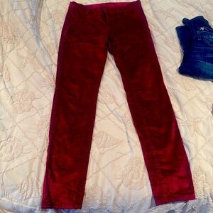 Kit from the Kloth velvet like pants, sz 6, maroon